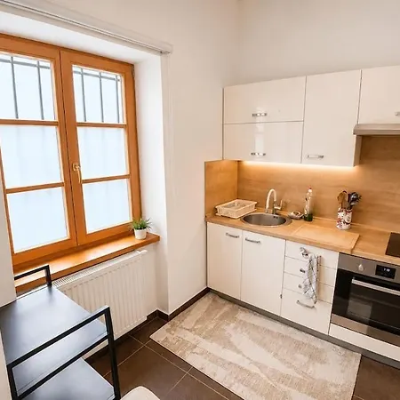 Your Own Historic Mansion, Gym And Basement Bar Holiday home Kosice