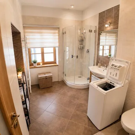 Your Own Historic Mansion, Gym And Basement Bar Holiday home